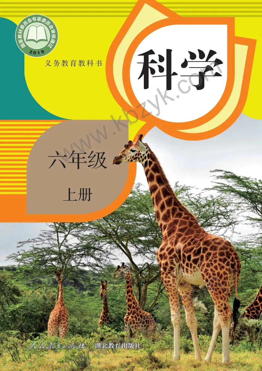 人教版六年级科学上册
