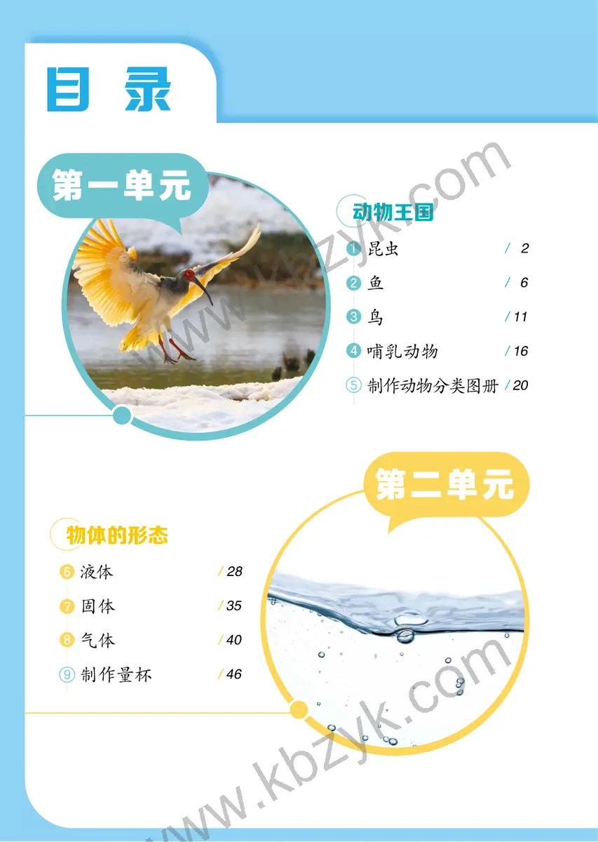 青岛版三年级科学上册