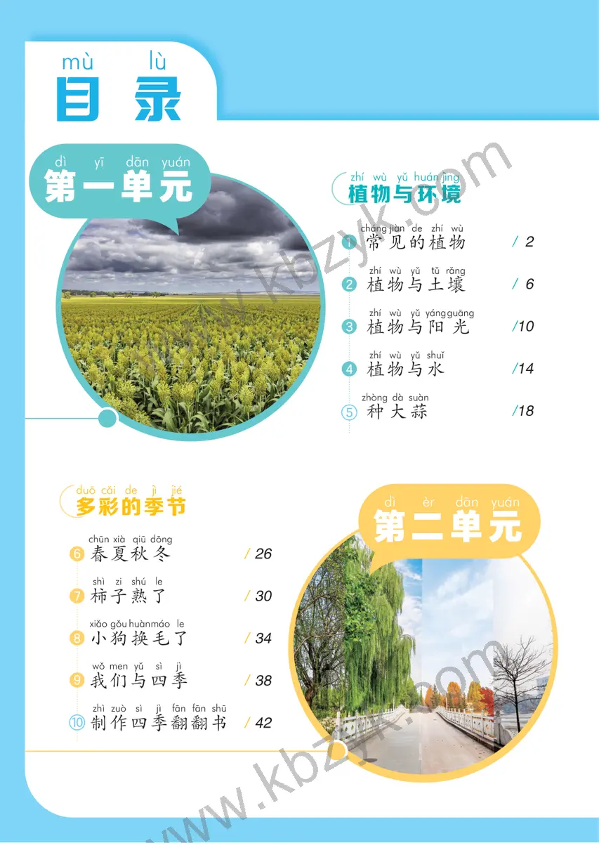 青岛版五四制二年级科学上册