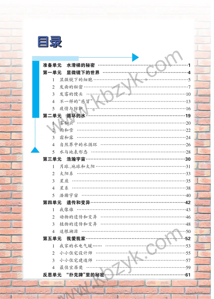 大象版六年级科学上册