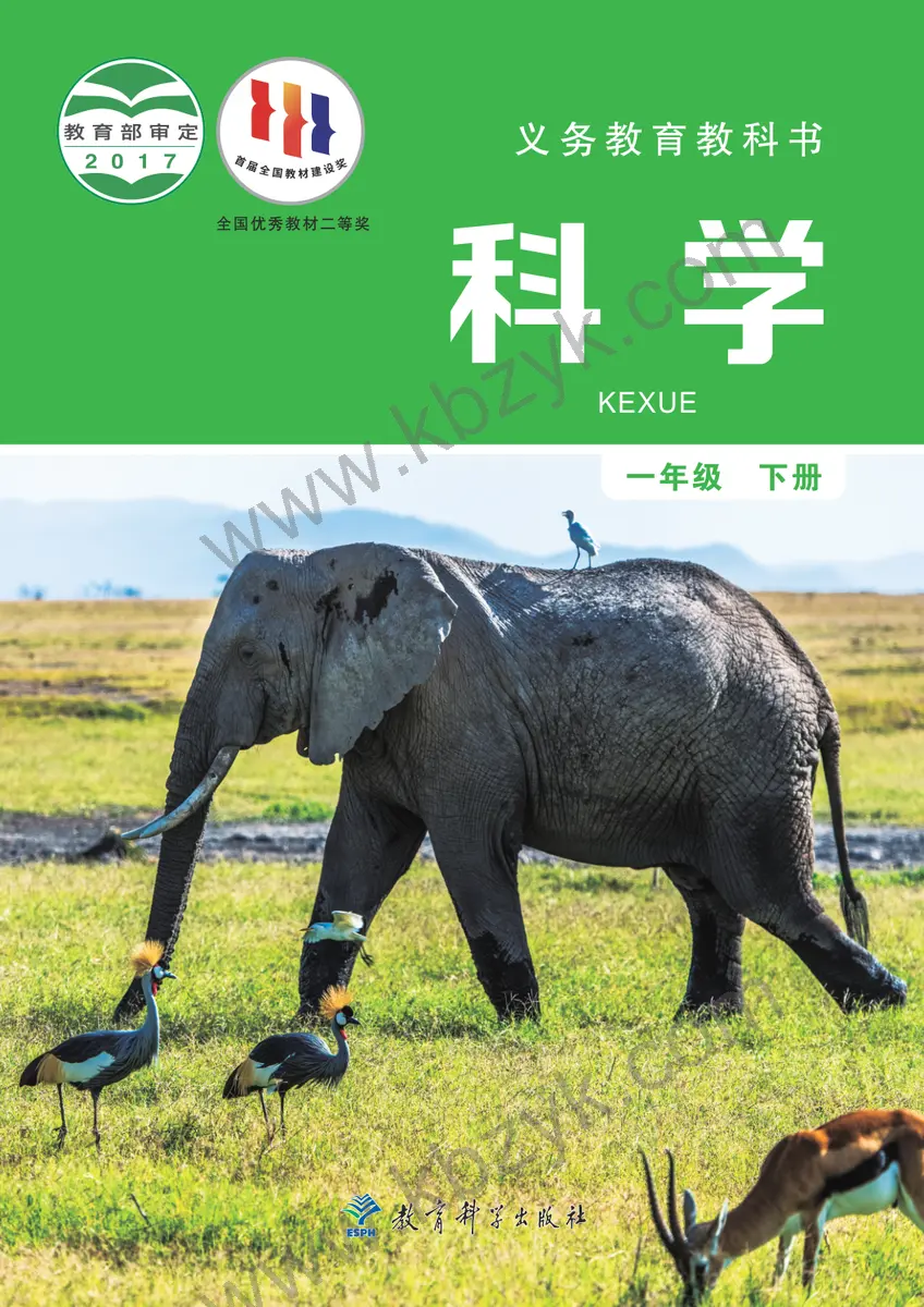 教科版一年级科学下册