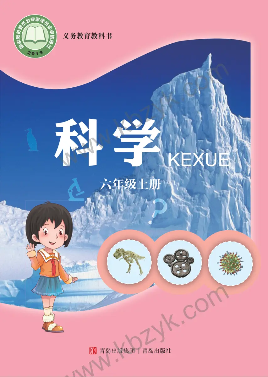 青岛版六年级科学上册