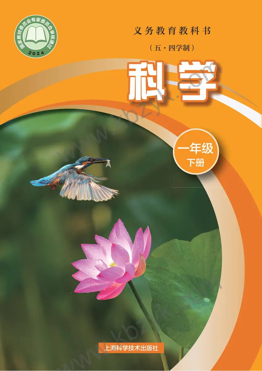 沪科版五四制一年级科学下册