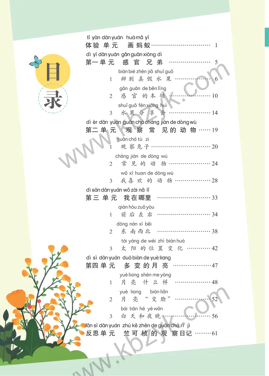 大象版一年级科学上册