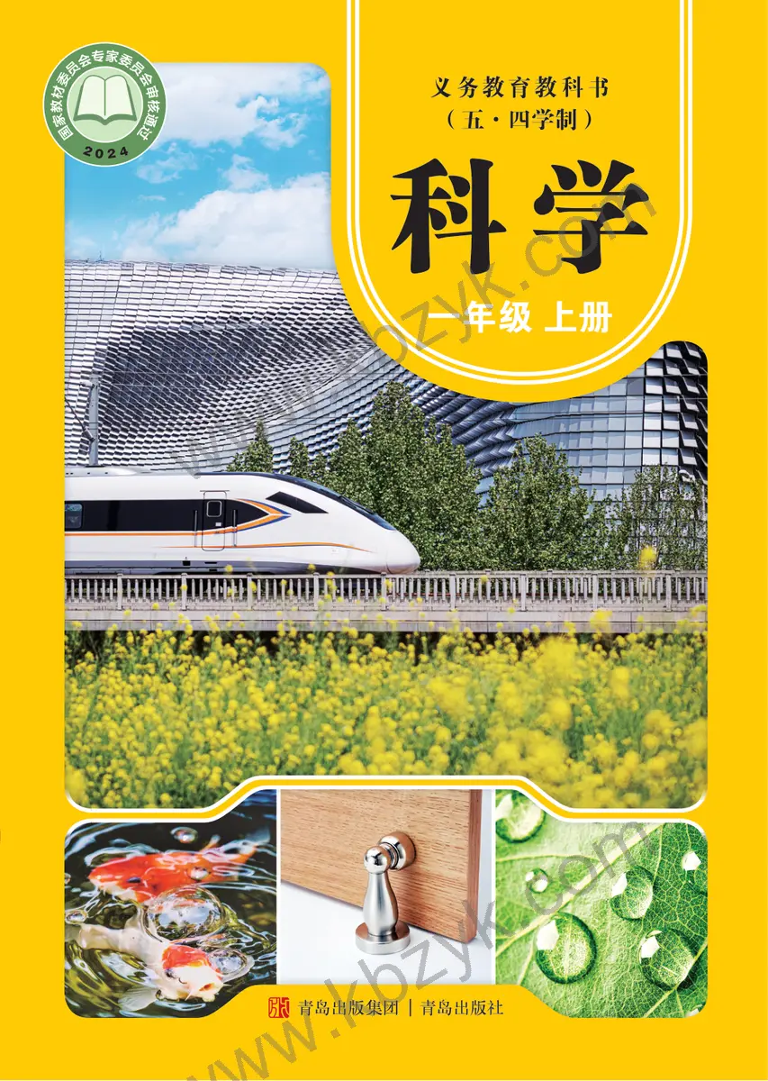 青岛版五四制一年级科学上册