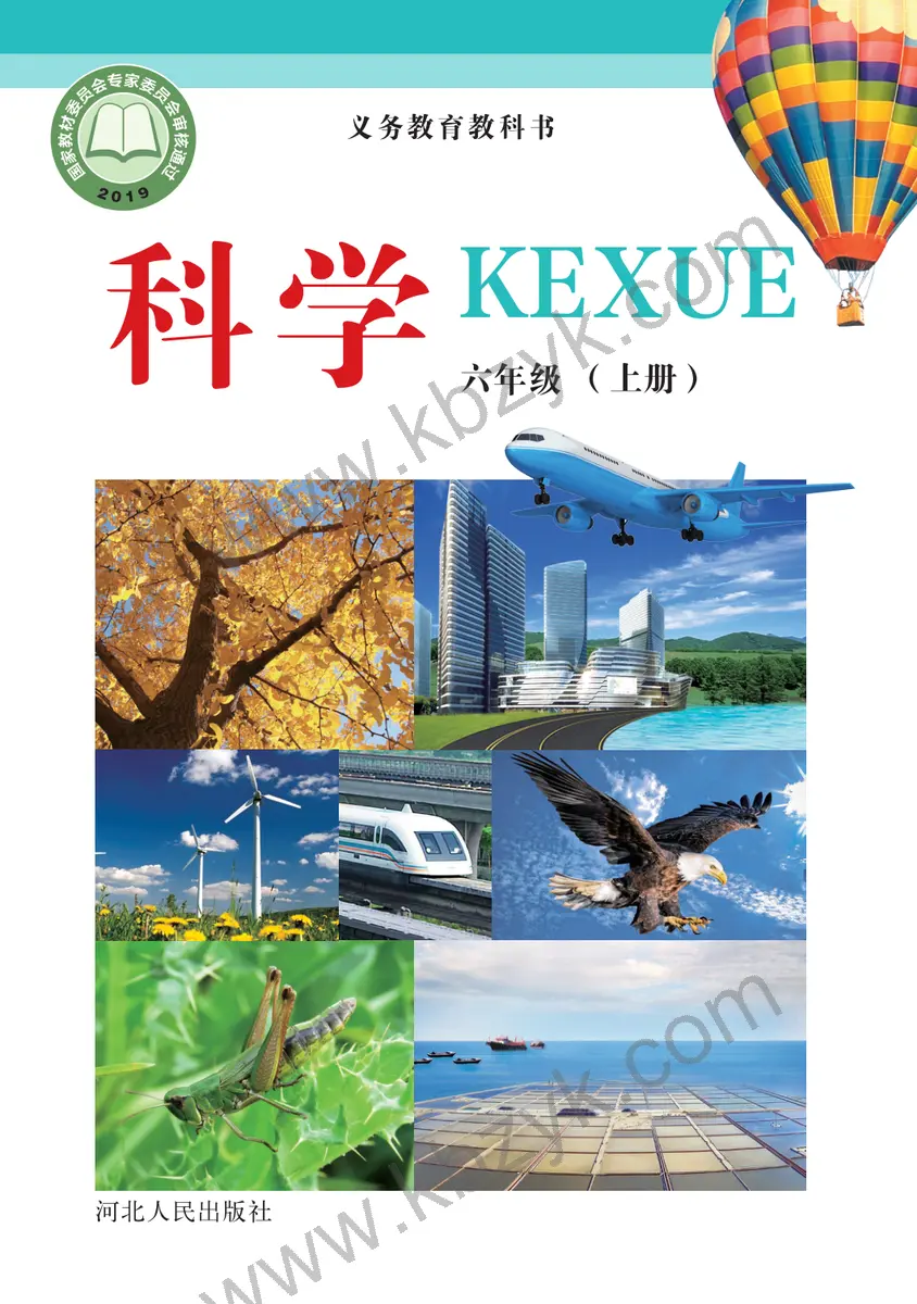 冀人版六年级科学上册