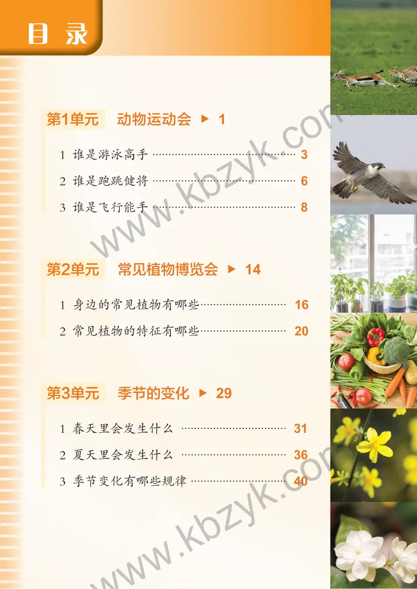 沪科版五四制一年级科学下册