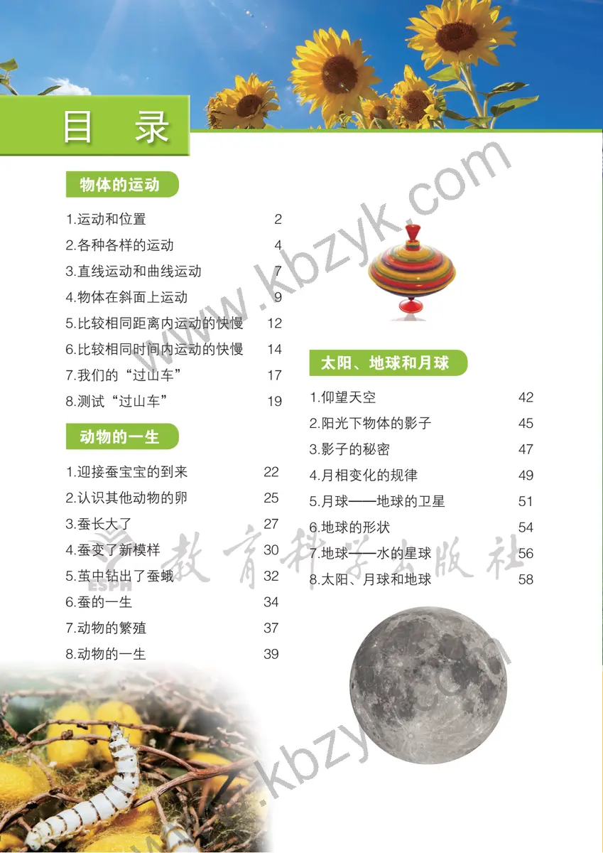 教科版三年级科学下册