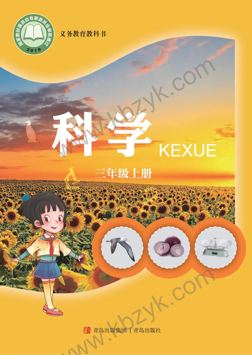 青岛版三年级科学上册