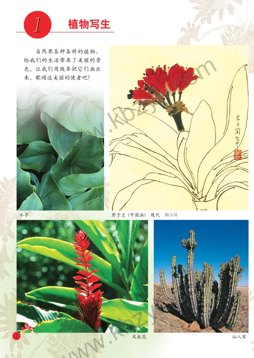 人美版四年级美术下册