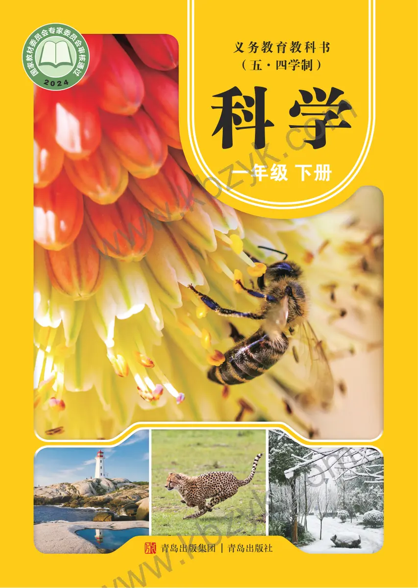 青岛版五四制一年级科学下册