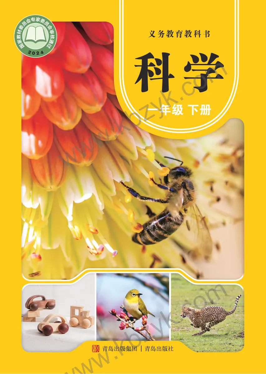 青岛版一年级科学下册