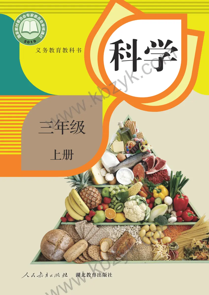 人教版三年级科学上册