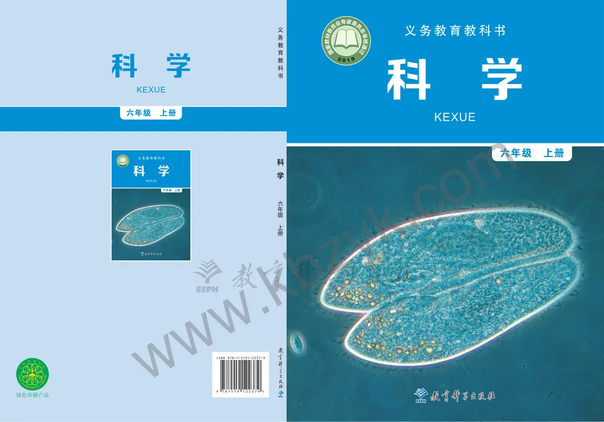 教科版六年级科学上册