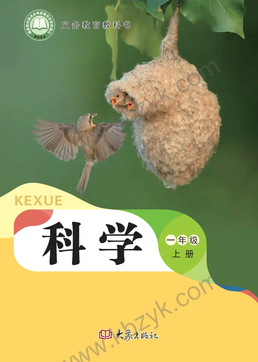 大象版一年级科学上册