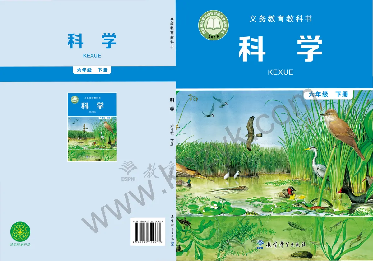 教科版六年级科学下册