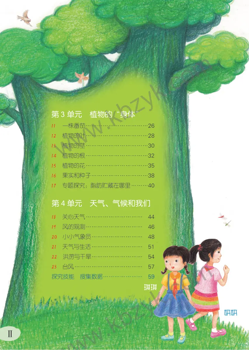 粤教版三年级科学下册