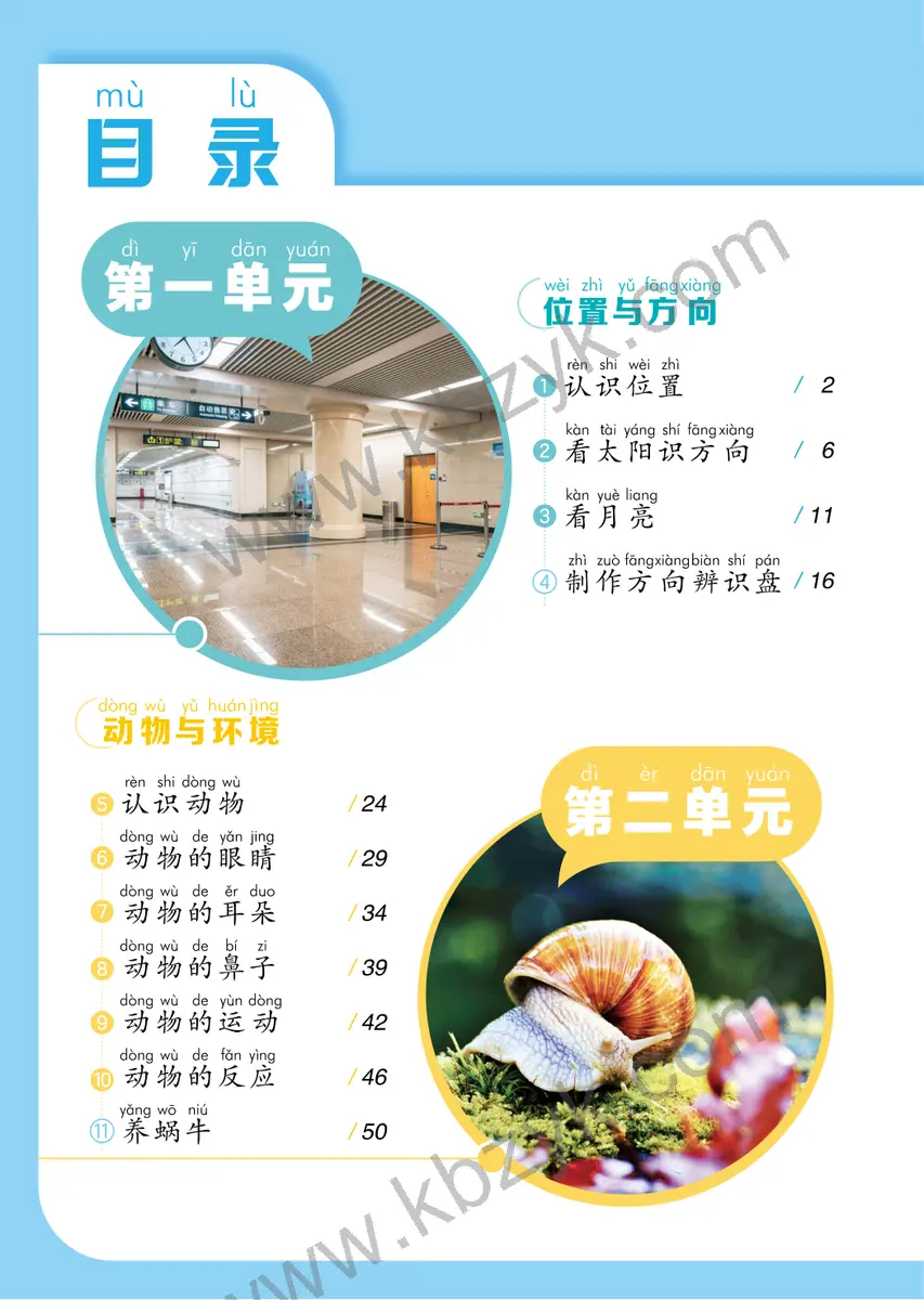 青岛版五四制一年级科学下册