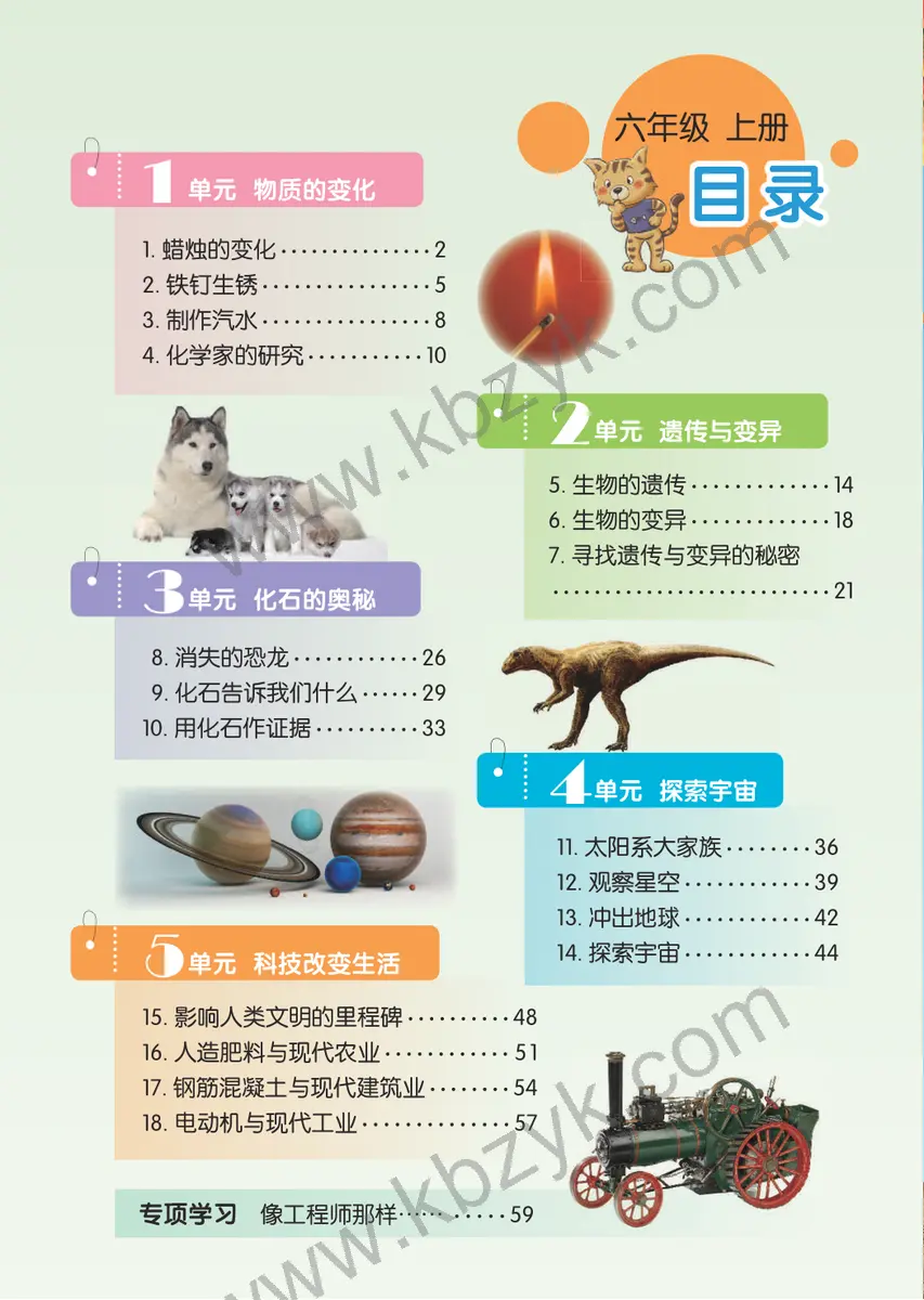 苏教版六年级科学上册