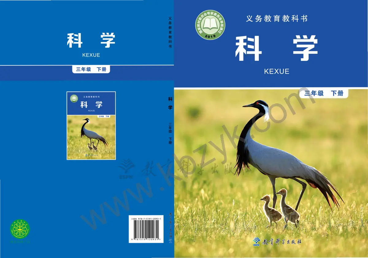 教科版三年级科学下册