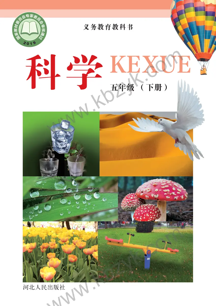 冀人版五年级科学下册
