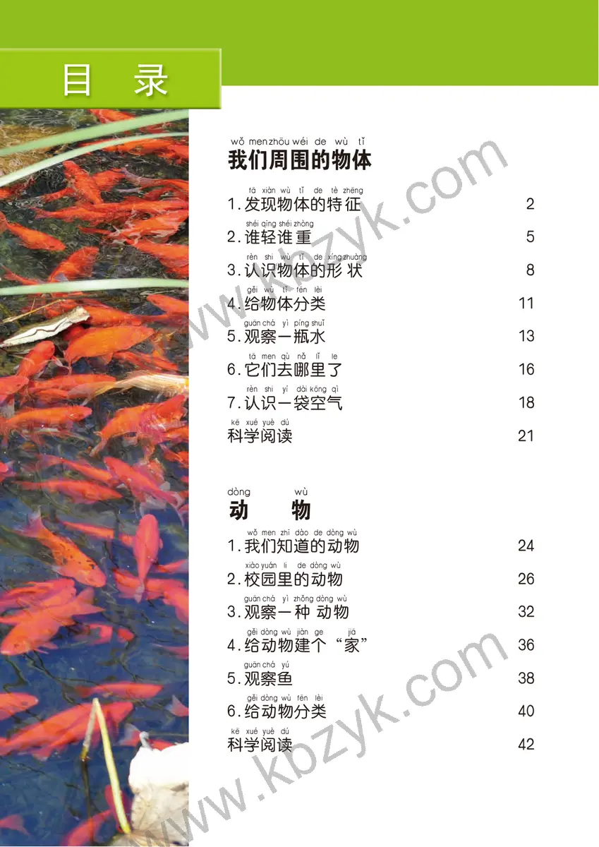 教科版一年级科学下册