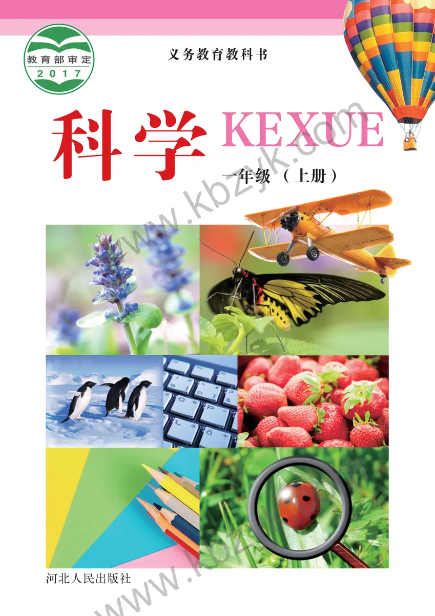 冀人版一年级科学上册