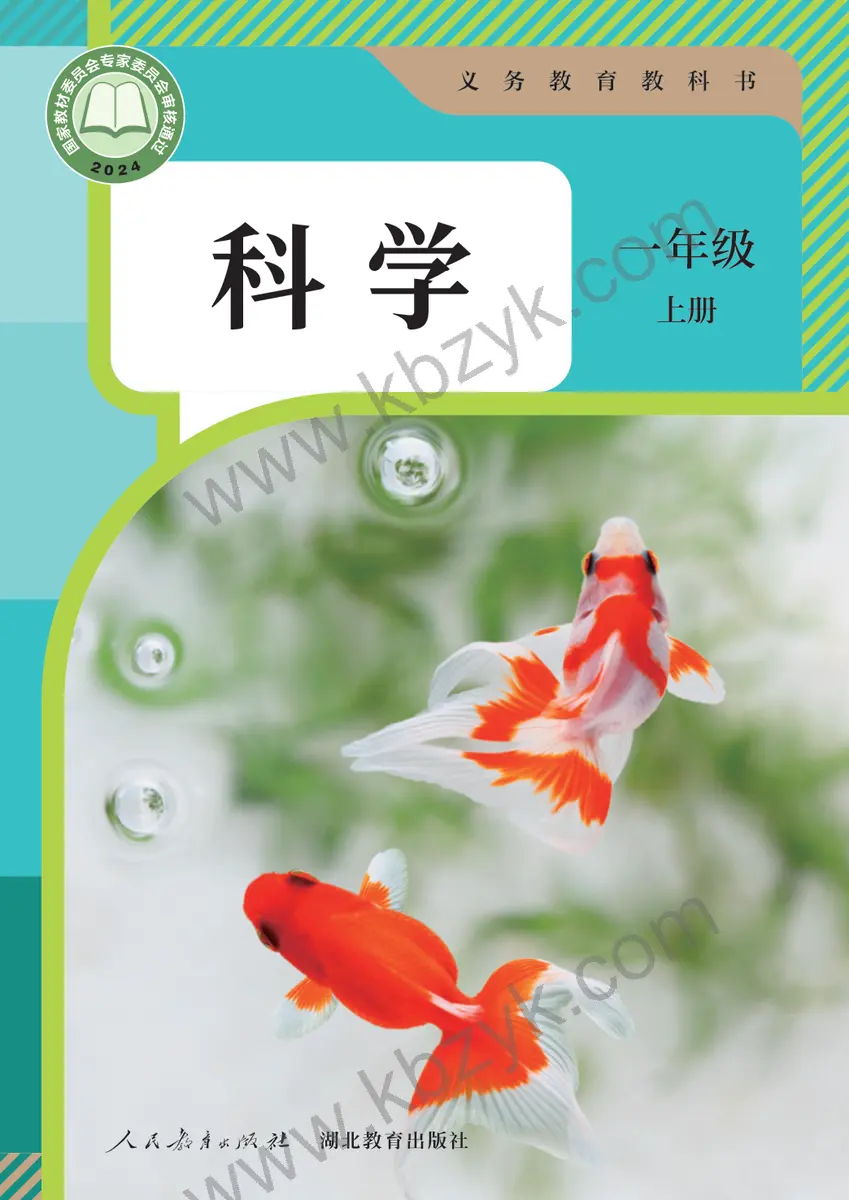 人教版一年级科学上册