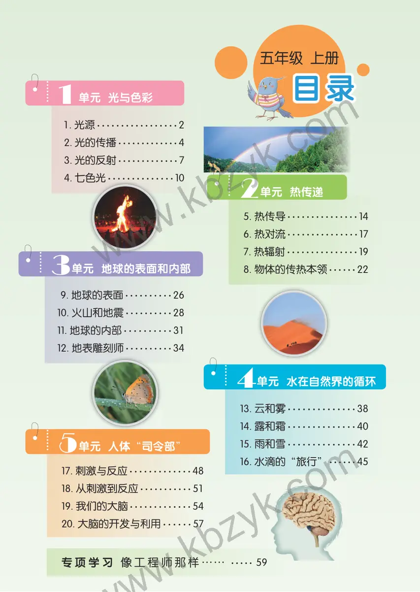 苏教版五年级科学上册