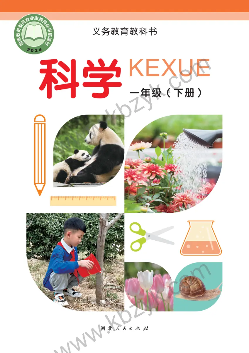 冀人版一年级科学下册