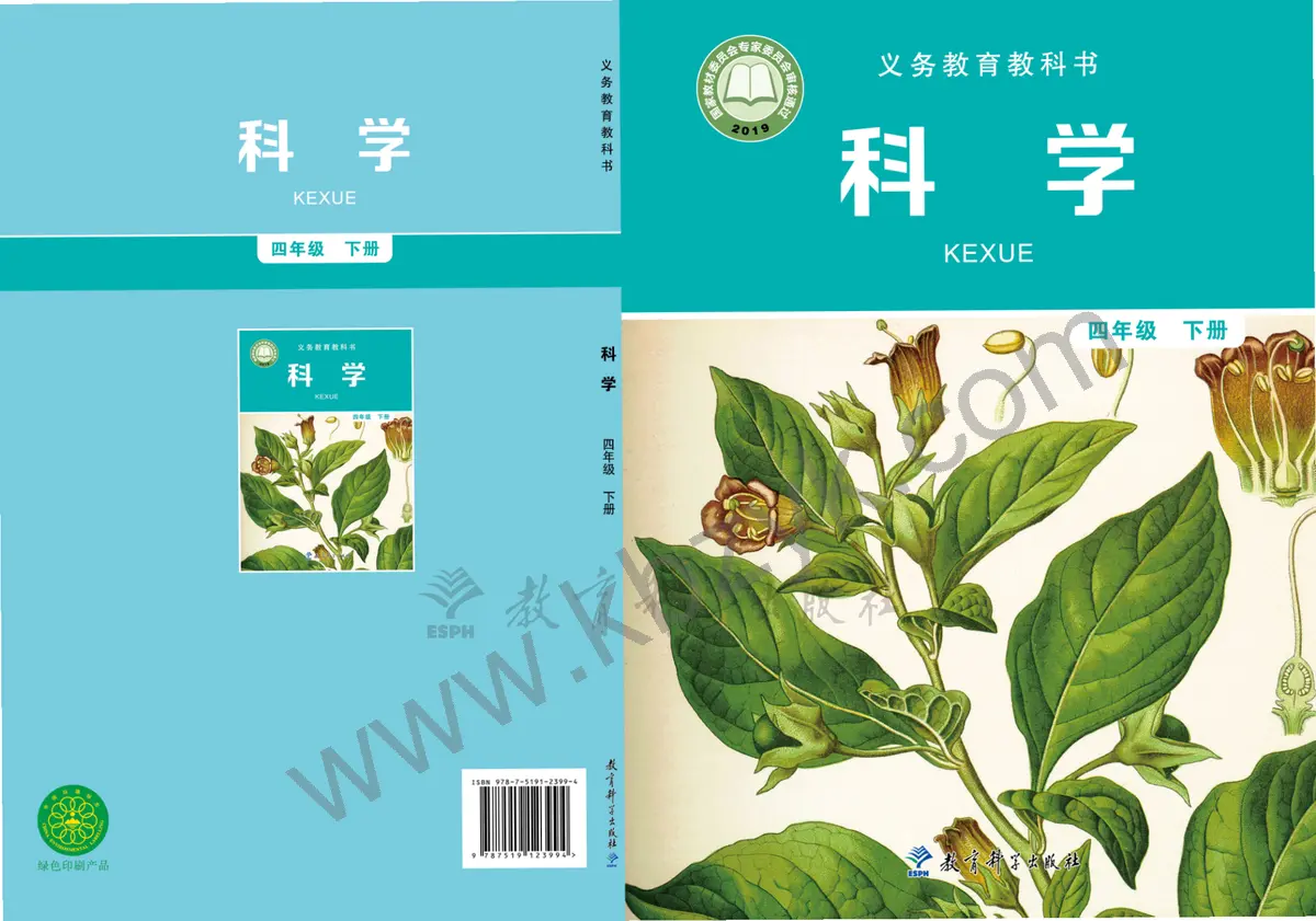 教科版四年级科学下册