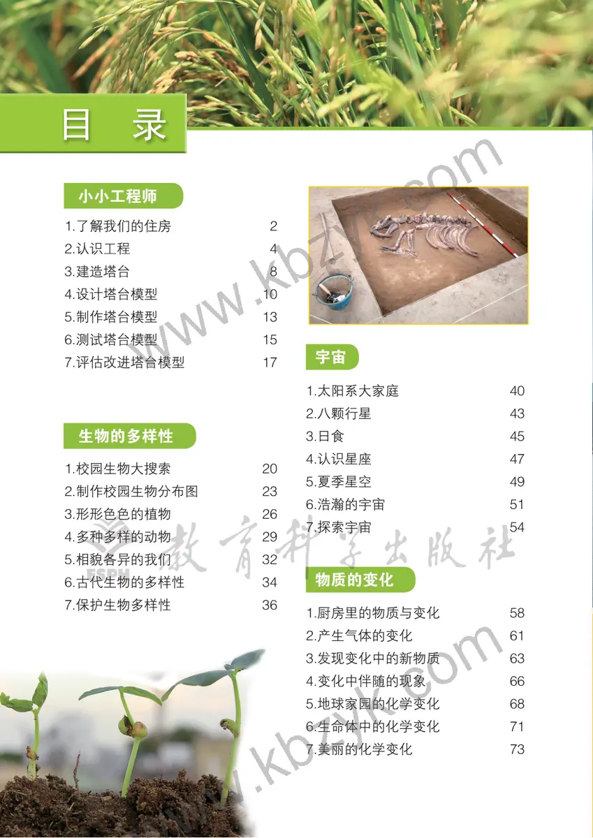 教科版六年级科学下册