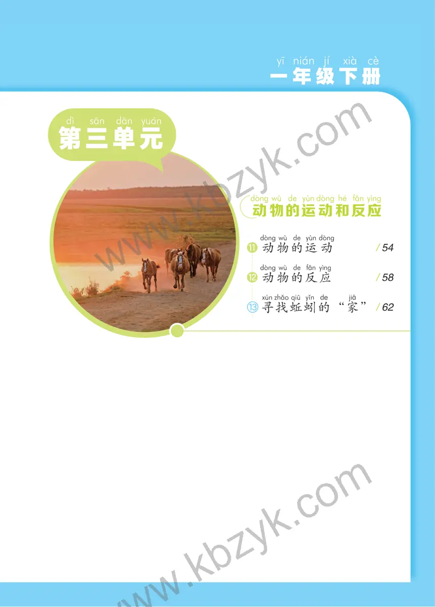 青岛版一年级科学下册