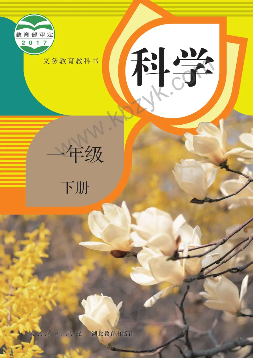 人教版一年级科学下册