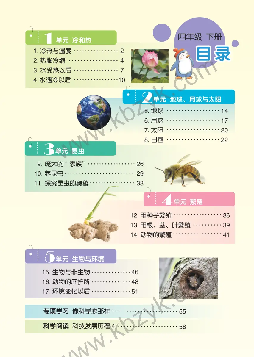 苏教版四年级科学下册