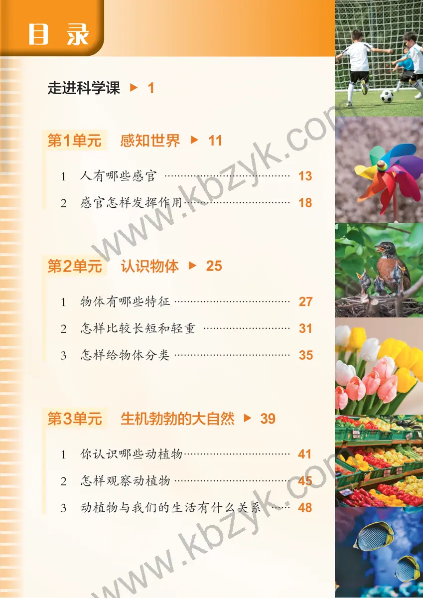 沪科版五四制一年级科学上册